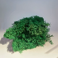 10G Зеленый зеленый