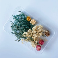 Клык клык ду -ян → сухие цветы