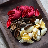 20 смешанных сикморных раковинов 20