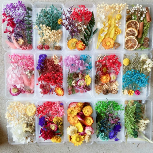 Вечная жизнь цветочный цветок