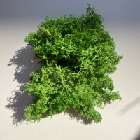 10G Изумрудный зеленый