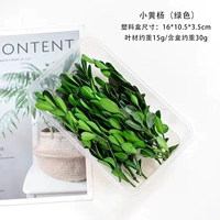 1 копия зеленых листьев Юка