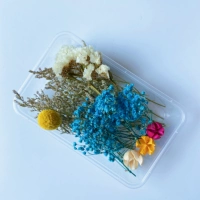 Свежие и элегантные → сухие цветы