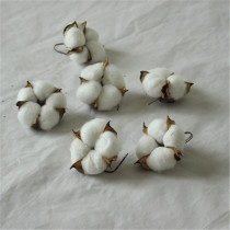 Simulation single head kapok head natural dried flower color cotton home decoration Christmas eternal wreath shooting props