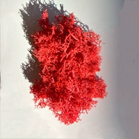 10G Большой Красный