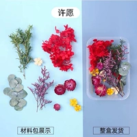 Шампанское желает