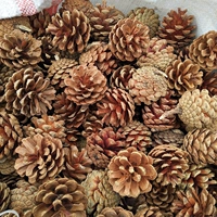 3-4 см Matsteps 25