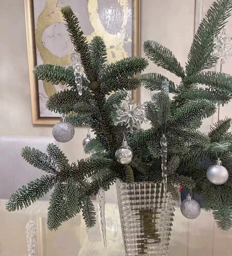 Свежий кипарис Естественно импортировал Нобелевские сосны Окрашения