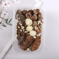 Marquan Picture Color Dry Flower 22