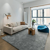 Nordic modern minimalist carpets Living room Bedrooms full of floor cushions pure color rooms Customisable machine washable large area full bunk