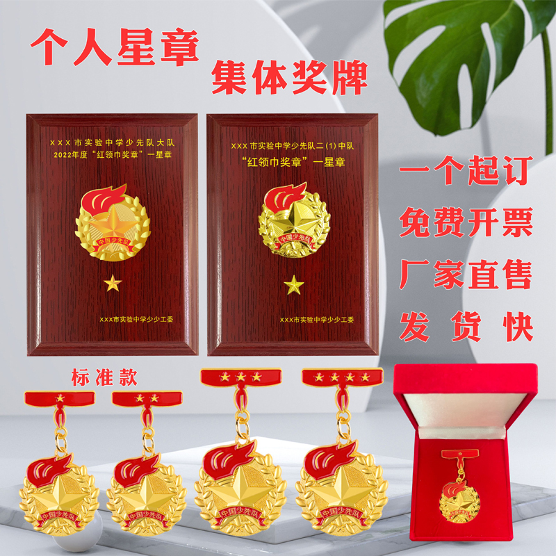 Book a red scarf badge Campus One Star Two Star Chapter Foundation Medal Collective Chapters Custom Medals Individual Chapters Gift Boxes-Taobao