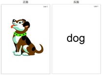 Double-sided new concept English Youth version Entry-level ab1a1b word big card flash card over plastic teaching aid