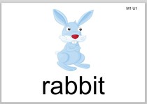 (Shanghai edition)Oxford Grade 123 upper and lower volumes of English word learning big card plastic teacher teaching aids