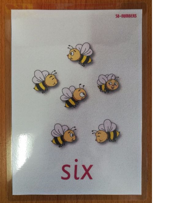 Double-sided Cambridge Early Childhood English word big card Flash card scallop seal Teacher teaching aid Preparation level 1 Level 2 Level 3 Level 4 Level 5 Level 6 Level 7 Level 8 Level 9 Level 10 Level 11