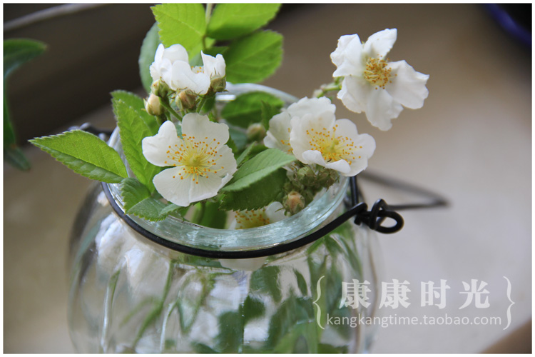 {康康 时} bí ngô nhỏ treo chai sắt dày dây thủy tinh lọ nhỏ treo lọ hoa dễ thương zakka - Vase / Bồn hoa & Kệ chậu hoa để bàn