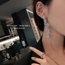 Snake earrings female design feel earrings 2020 New Tide European and American Net Red personality temperament exaggerated long earrings