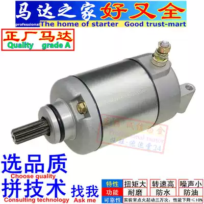 Suitable for Bellini TNT Hurricane Blue Baolong BJ300GS Huanglong 300 302 Starter motor motor carbon brush