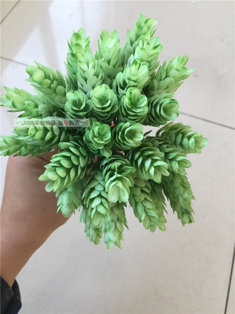 Mori girl handmade DIY chất liệu thịt nhân tạo hoa giả mũ phụ kiện tóc chụp hoa bia cỏ dứa - Hoa nhân tạo / Cây / Trái cây hoa giả đẹp