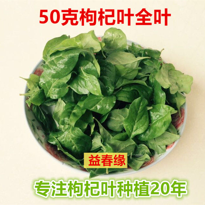 Southern Chinese wolfberry leaf fresh medlar leaf Medlar Vegetable All Leaves 50 gr Tuilt Cooked Broth Vegetables to be taken on the day