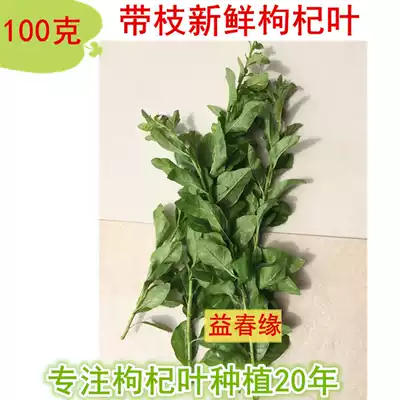 Eat fresh wolfberry leaves 100 grams of Tulou specialty health wolfberry vegetables, fire and eye soup ingredients are now taken off