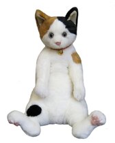 Japan direct delivery Cuddly super cute Koharu (Koharu) tall three-color cat plush doll