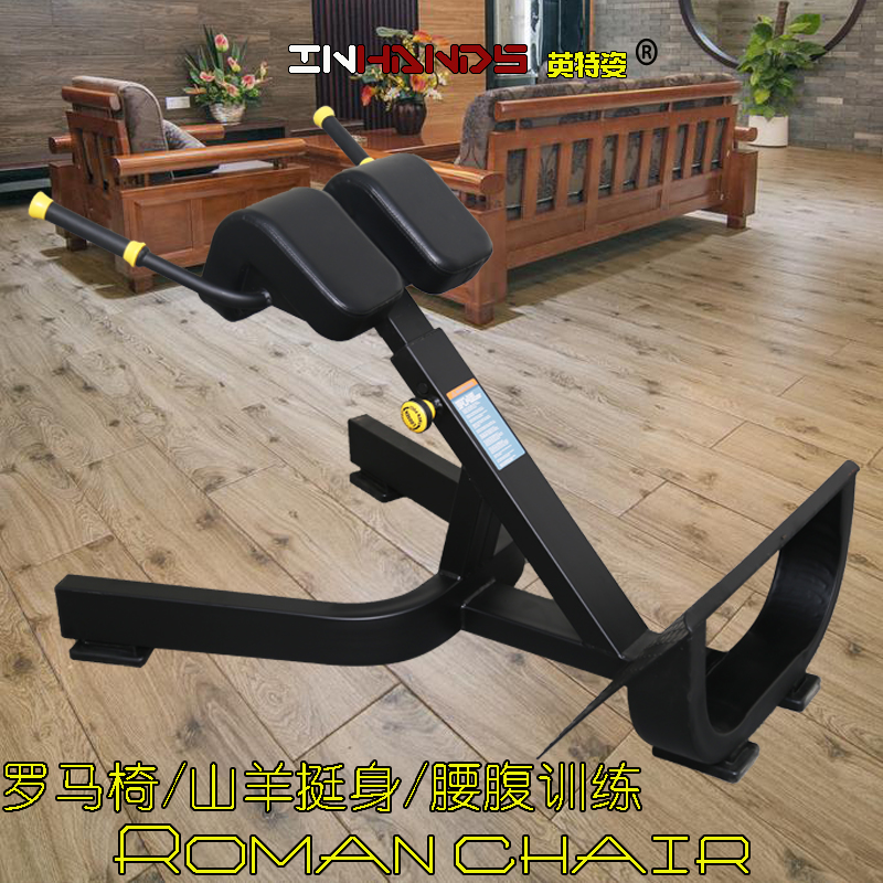 Power Instruments Fitness Room Fitness Equipment Rome Chair Rome Bench Large Commercial Fitness Equipment Indoor Fitness