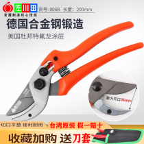 Pruning Fruit tree pruning shears knife scissors flower scissors gardening fruit trees garden flower art pruning branch scissors strong shear