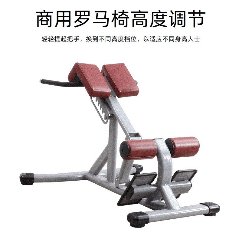 Rome chair Fitness chair Hip commercial thin plastic waist exercise Goat stand up back crest stretch Back muscle training