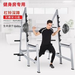 Squat Rack Smith Flying Bird Combination Rack Commercial Barbell Exercise Rack Weight Rack Multifunctional Press Bench Press