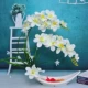 Craftpot lọ hoa lan đặt lọ hoa mô phỏng cây xanh trồng trong chậu hiên bàn trưng bày tủ TV - Trang trí nội thất phụ kiện trang trí phòng ngủ