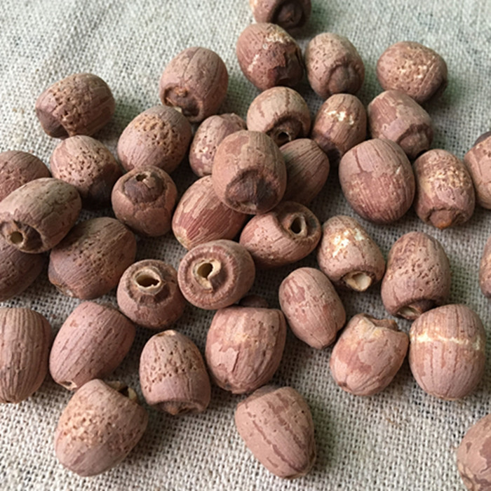 2021 New Small Lotus Seed Red Lotus Seed Farm-produced Lotus Seed Dry Goods Core-free 500g 1kg