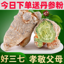 Sanqi head Yunnan Wenshan 10 head 14 head 15 head 30 head Super non wild field seven head can grind Panax notoginseng powder