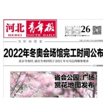 Notice of Transfer of Auction of Assets Disposal Auction Auction Notice of Newspaper of Newspaper in Hebei Province Level and above