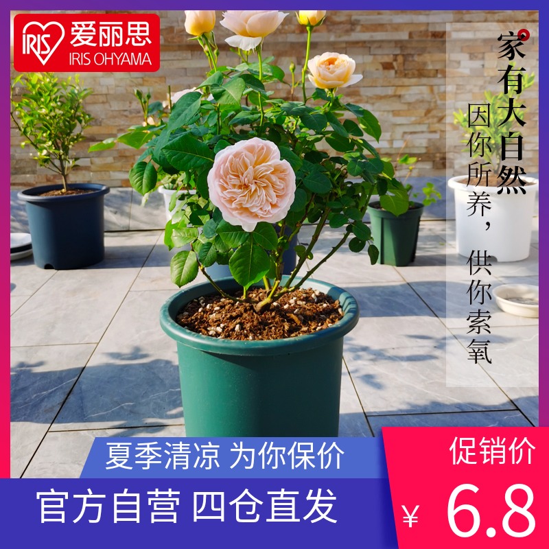 IRIS color high tube Deepot Deep type moon season flower pot Large diameter round Alice plastic Golden Ge flower pot