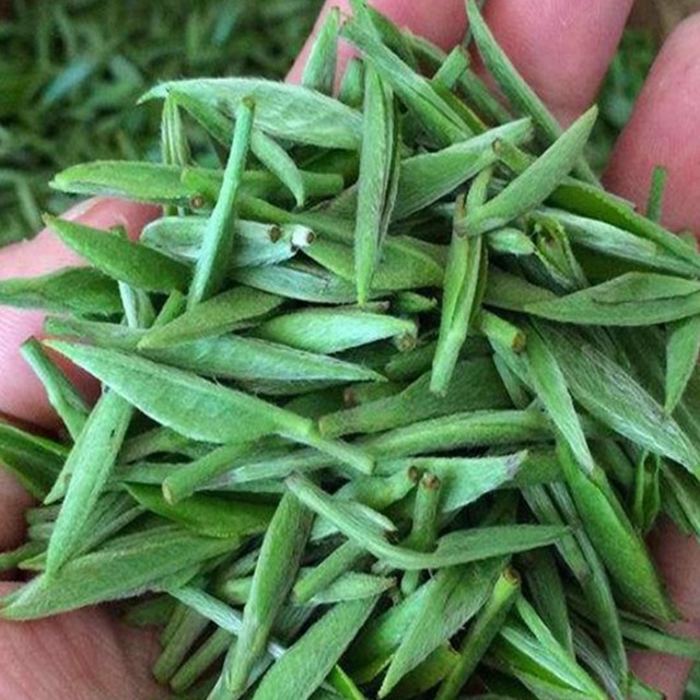 岳陽君山銀針本場プレミアム2025新茶 明前プレミアム銀針湖南緑茶 250g ギフトボックス