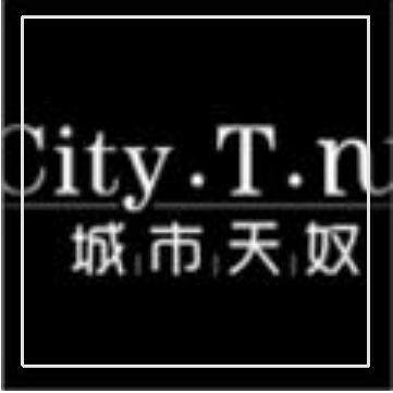 citytnu企业店