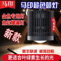 Maprint cylinder light new 100W Lanshoujin fish special lamp overcoloured full spectrum LED light barrel lamp timed poplar lamp