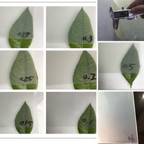 Fiber plate epoxy glass fiber piece 0 06-0 1-0 15-0 2-0 25-0 3-0 3-0 35-0 4-0 45