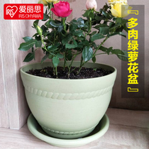Love Litho Meat Green FLOWER POT INDOOR RESIN PLASTIC COLORED CIRCULAR MINIMALIST CREATIVE FROSTED ALICE FLOWER POT
