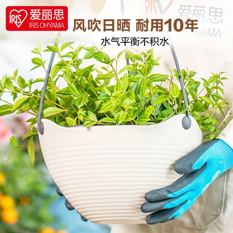 IRIS hanging orchid pot gold ge green plant hanging thickened plastic lazy pot hanging basket hanging self-absorbing water creative