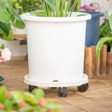 Алиса сгущенная, перемещая картный цветочный диск в нижней части ванксианского бассейна с бассейном рингкота, круглый круглый шасси