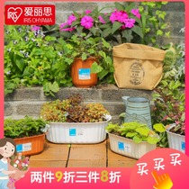 Alice IRIS plastic flowerpot padded household flowerpot colored petal Oval fleshy flowerpot tray