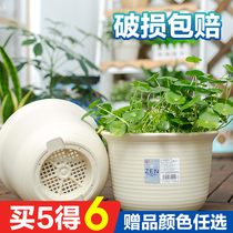Love Rieth Large Resin Flower Pot Round Medium Bowl Green Lori Multimeat Imitation Ceramic Alice Thickened Creative Plastic Basin
