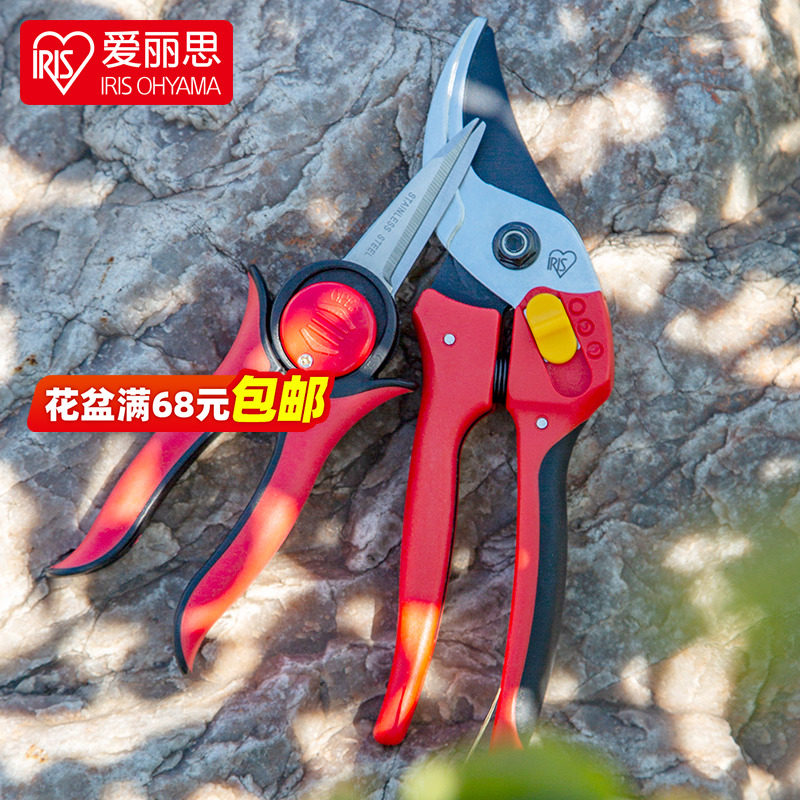 Love Lith Flowers Cut Branches Cut Flowers Art Scissors Repo Flowers Home Bonsai Gardening Flowers Flower Arrangements Flower And Grass Clippers Tools 