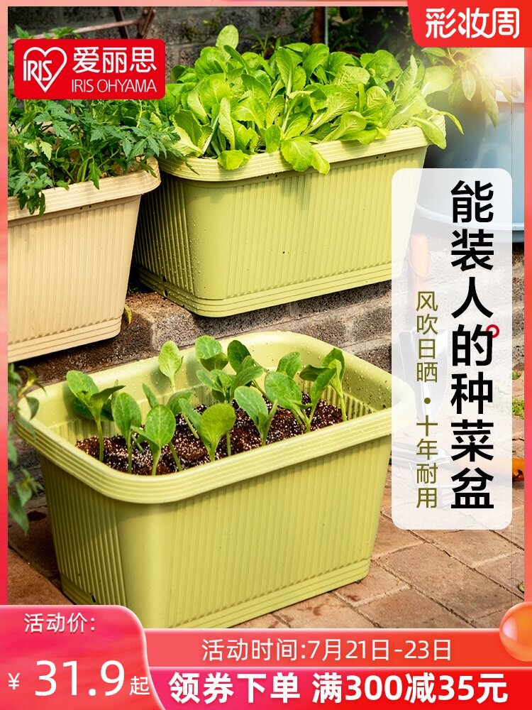 IRIS Balcony vegetable garden Vegetable garden Indoor long strip large diameter flower pot plastic planting deep Alice