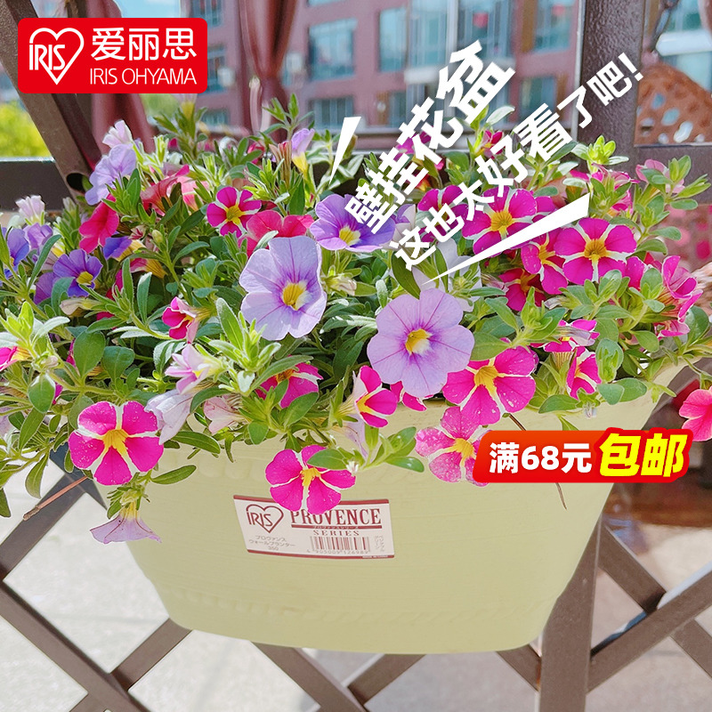 IRIS wall-mounted color long flower pot balcony thickened resin flower pot Alice succulent hanging orchid pot