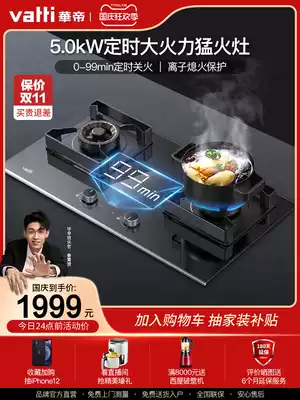 Vantage new gas furnace double mouth gas stove i10057B household embedded stove energy saving gas stove gas liquefaction