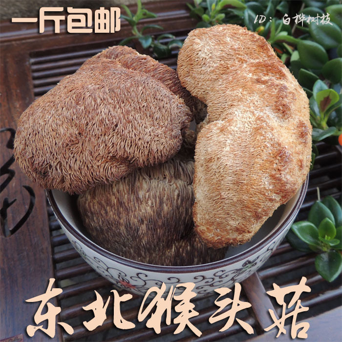 New product promotion Daxing'anling non-wild mushroom Hericium erinaceus dry goods 1 catty farmhouse-produced Hericium erinaceus tonic