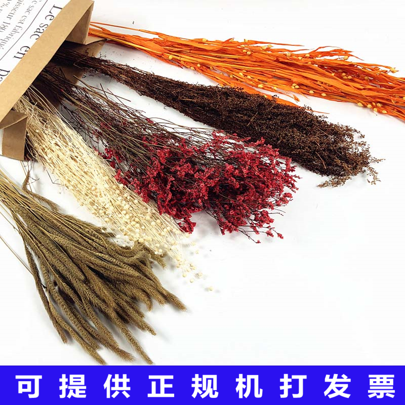 Kindergarten home wall decoration dried flower eternal flower creative diy Forest Flower Dry Branch wheat ear Reed