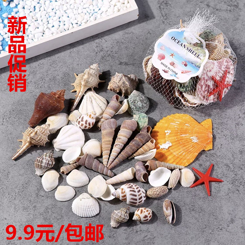 Conch shell Coral aquarium Fish tank Landscaping decoration set Mediterranean craft gift decoration Creative drift bottle